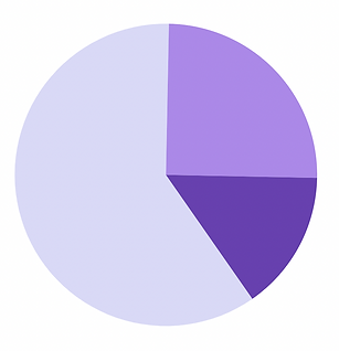 freeCodeCamp target audience chart